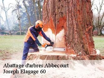 Abattage d'arbres  abbecourt-60430 Joseph Elagage 60