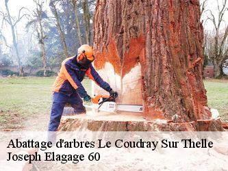 Abattage d'arbres  le-coudray-sur-thelle-60790 Joseph Elagage 60