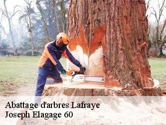 Abattage d'arbres  lafraye-60510 Joseph Elagage 60