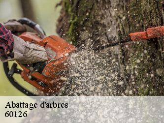 Abattage d'arbres  60126