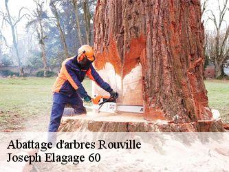 Abattage d'arbres  rouville-60800 Joseph Elagage 60