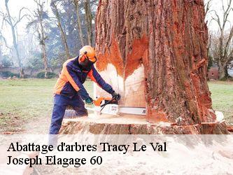 Abattage d'arbres  tracy-le-val-60170 Joseph Elagage 60