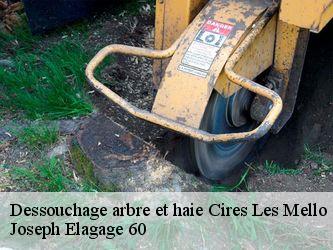 Dessouchage arbre et haie  cires-les-mello-60660 Joseph Elagage 60