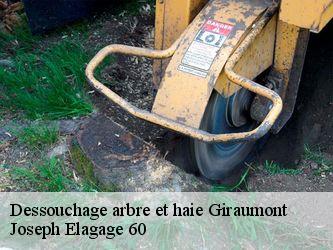 Dessouchage arbre et haie  giraumont-60150 Joseph Elagage 60