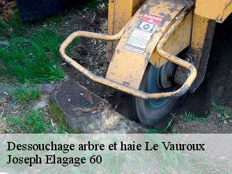 Dessouchage arbre et haie  le-vauroux-60390 Joseph Elagage 60