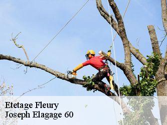 Etetage  fleury-60240 Joseph Elagage 60