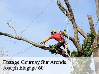 Etetage  gournay-sur-aronde-60190 Joseph Elagage 60