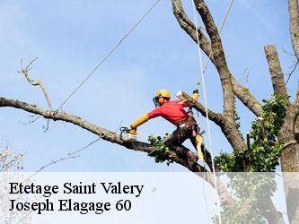 Etetage  saint-valery-60220 Joseph Elagage 60