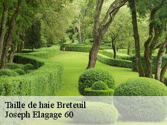 Taille de haie  breteuil-60120 Joseph Elagage 60