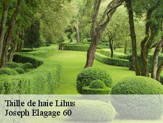 Taille de haie  lihus-60360 Joseph Elagage 60