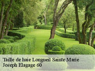 Taille de haie  longueil-sainte-marie-60126 Joseph Elagage 60