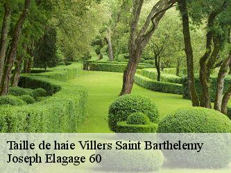 Taille de haie  villers-saint-barthelemy-60650 Joseph Elagage 60