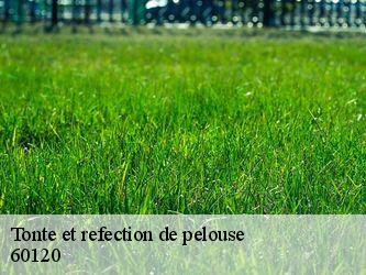 Tonte et refection de pelouse  60120