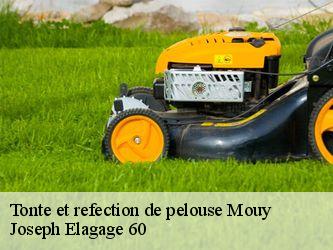 Tonte et refection de pelouse  mouy-60250 Joseph Elagage 60